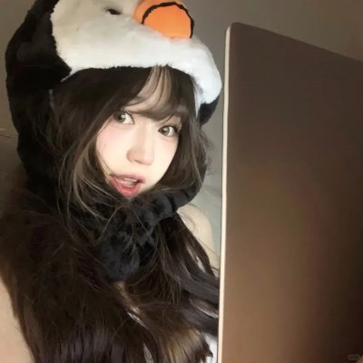 跃动火鹤